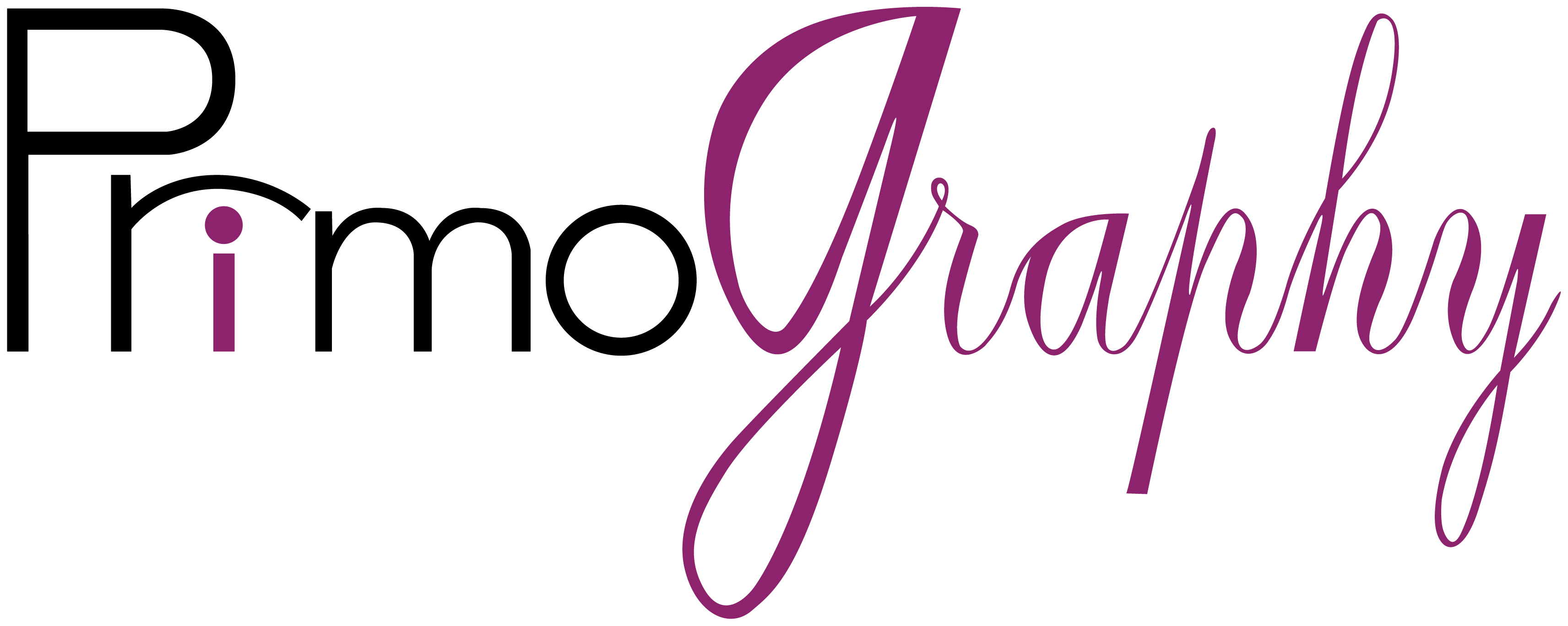Логотип PrimoApp